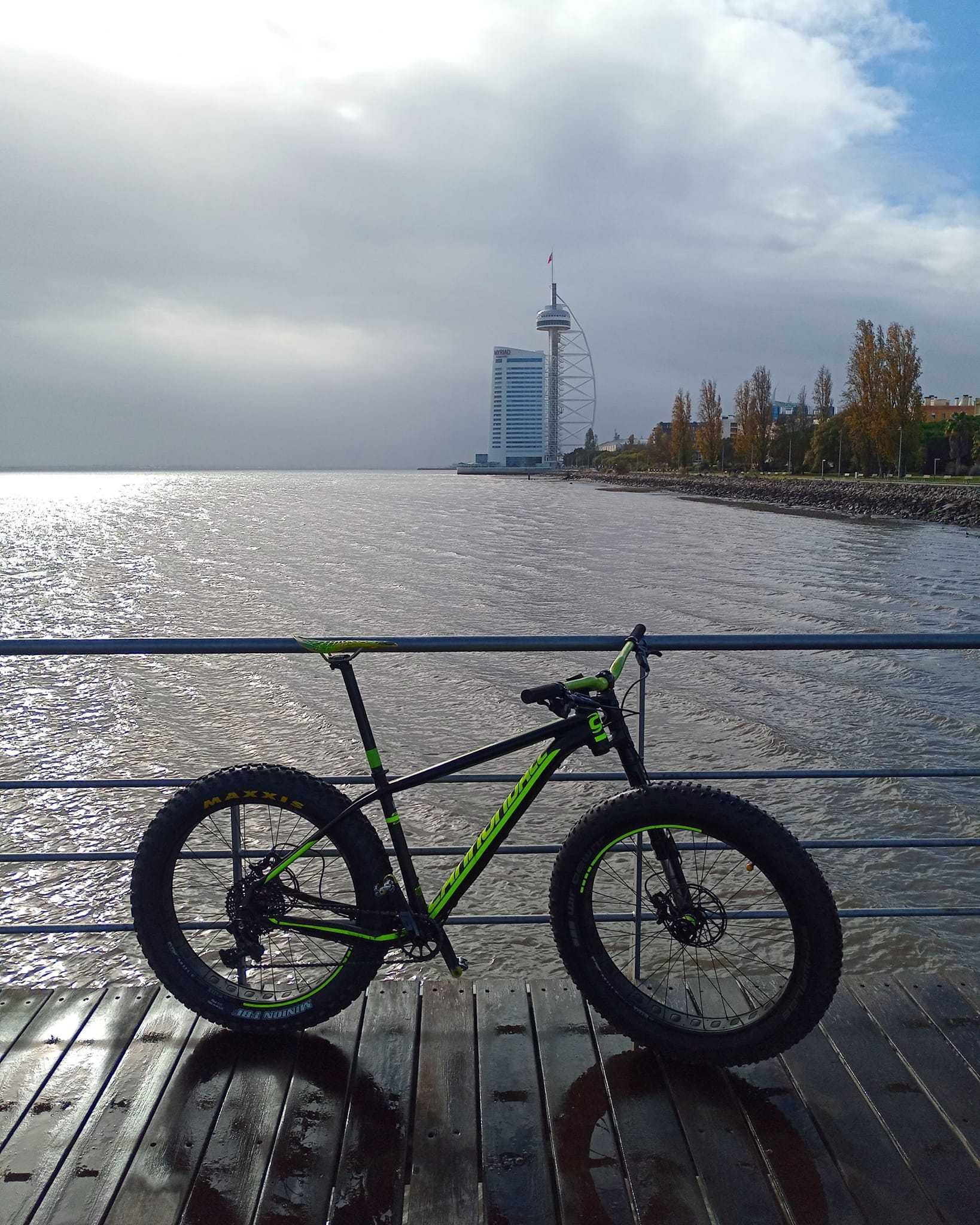 cannondale fat bike