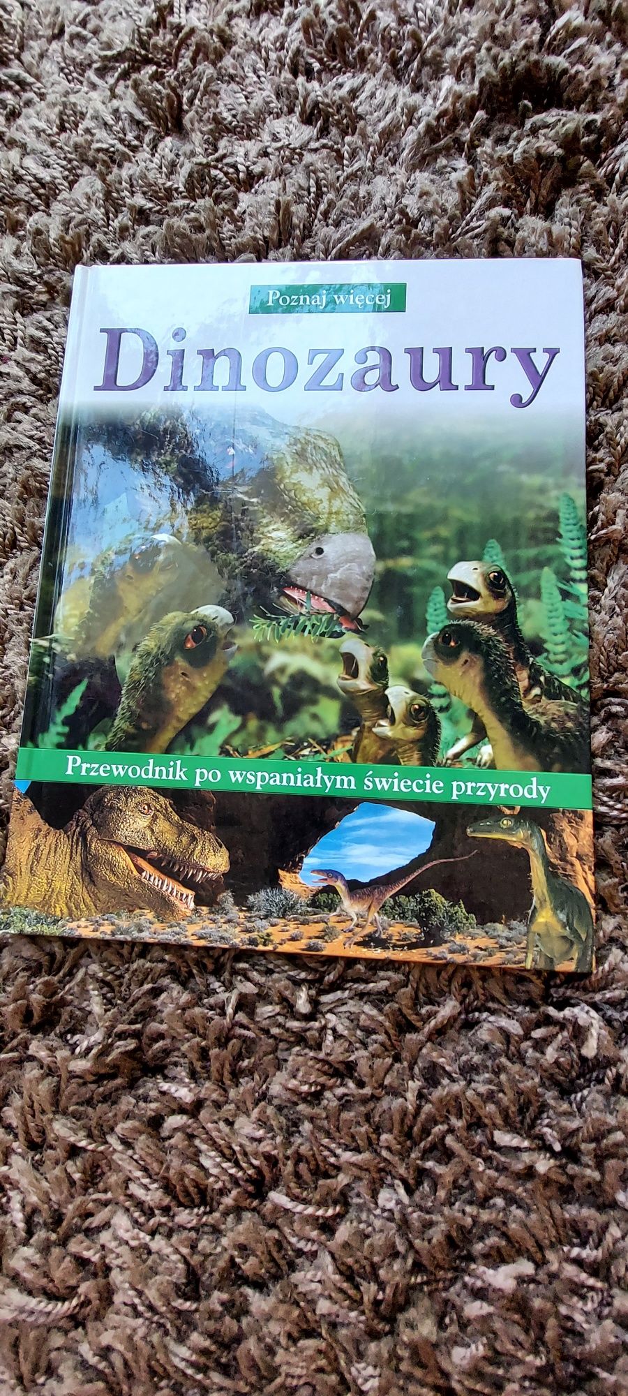 Dinozaury-przewodnik po wspaniałym świecie przyrody.