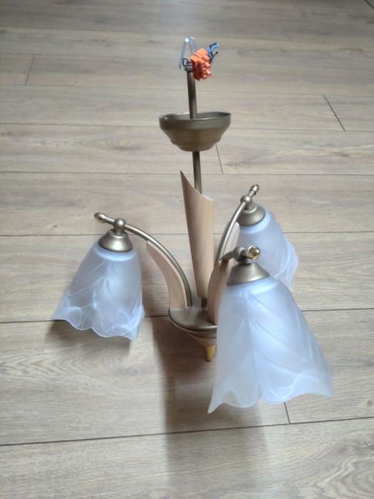 Lampy pokojowe Wi-Fi sufitowe lampa  żyrandol