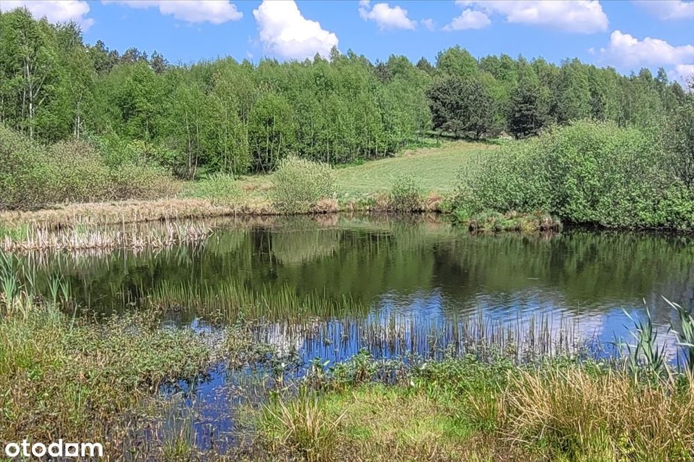 Kaszubska oaza ciszy i spokoju – duża działka z WZ, 45 min od  Gdańska