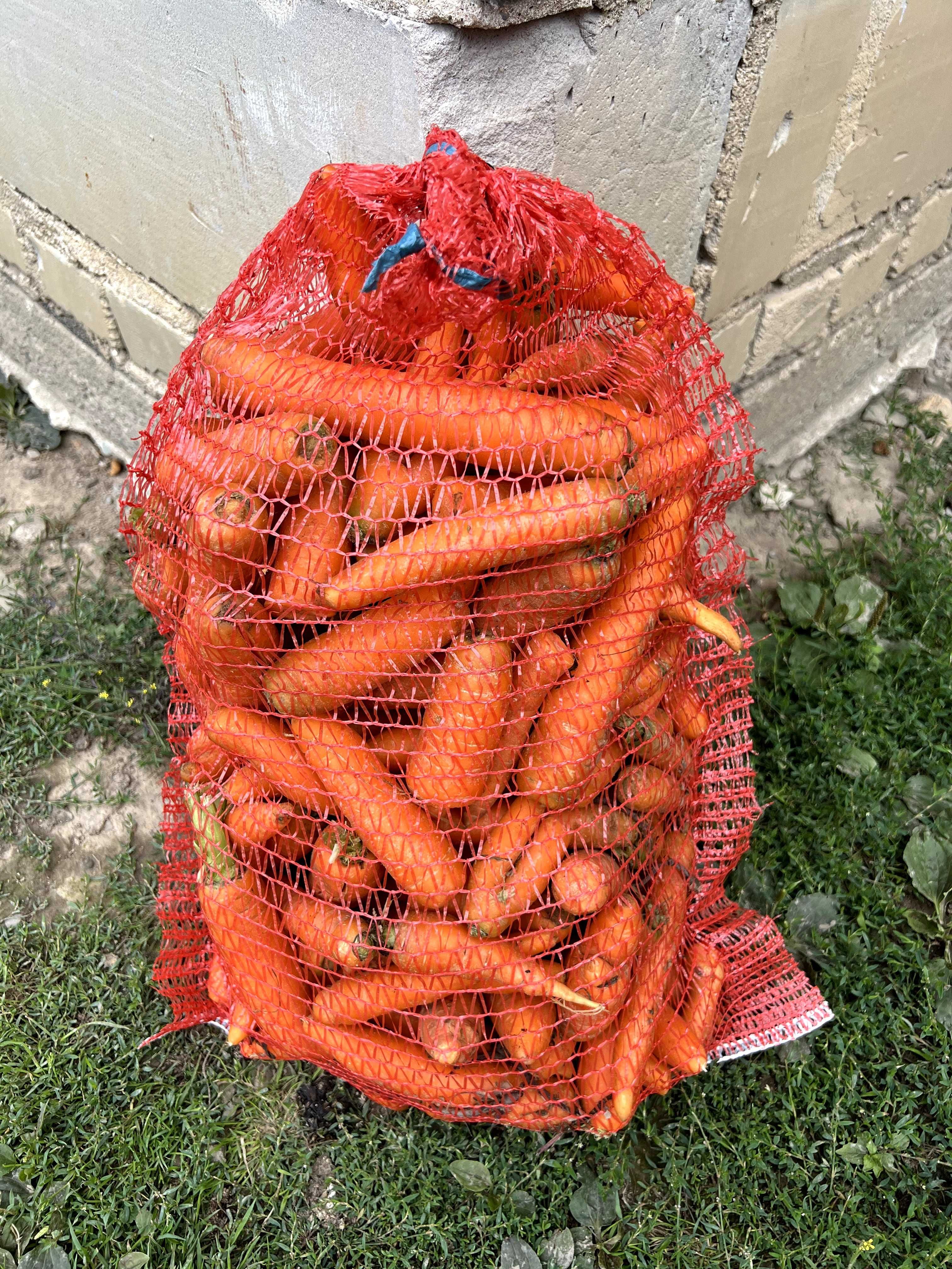 Marchew odpadowa-paszowa/Transport/Pakowane po 10kg