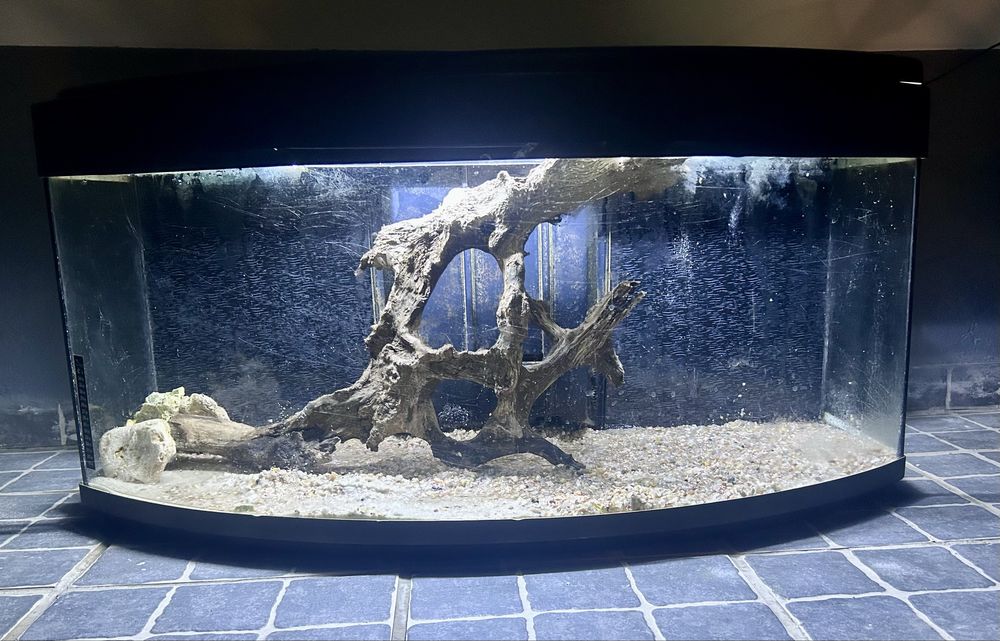 Aquario Panoramico 1 Metro