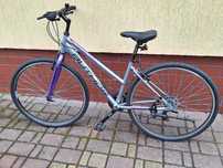 Rower Author Thema Rama L 17" Trekking Cross