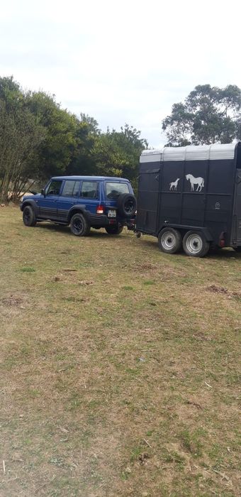Transporte de animais