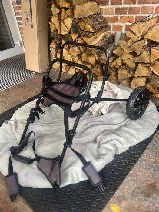 Wozek inwalidzki dla psa owczarka wiekszego psa