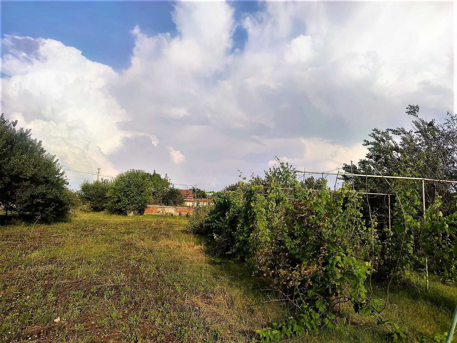 Продам земельный участок в п. Коротич (свет, вода, фундамент, сад)