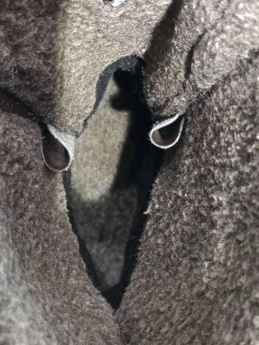 Зимние женские ботинки Ecco Оригинал