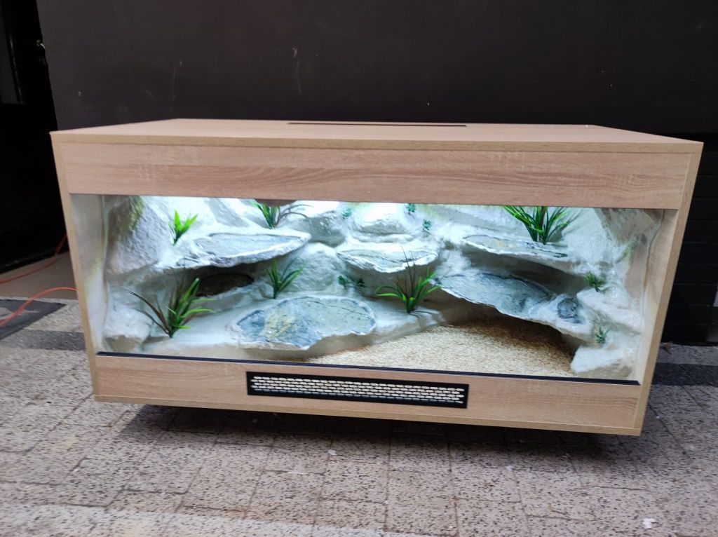 Terrarium agama brodata legwan PETMARKET