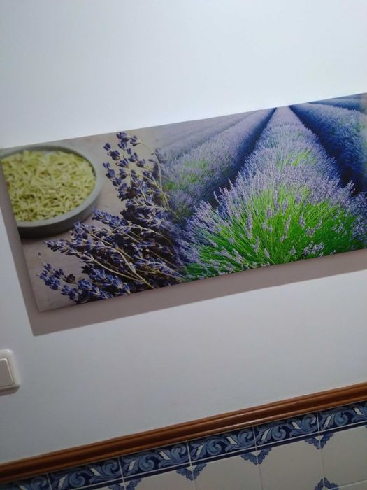 Quadros Natureza 3 peças,simples,agradaveis