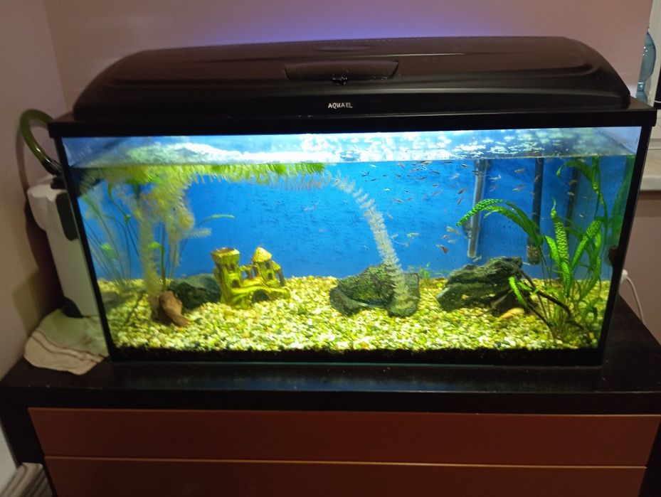 Akwarium 200 l.z szafką