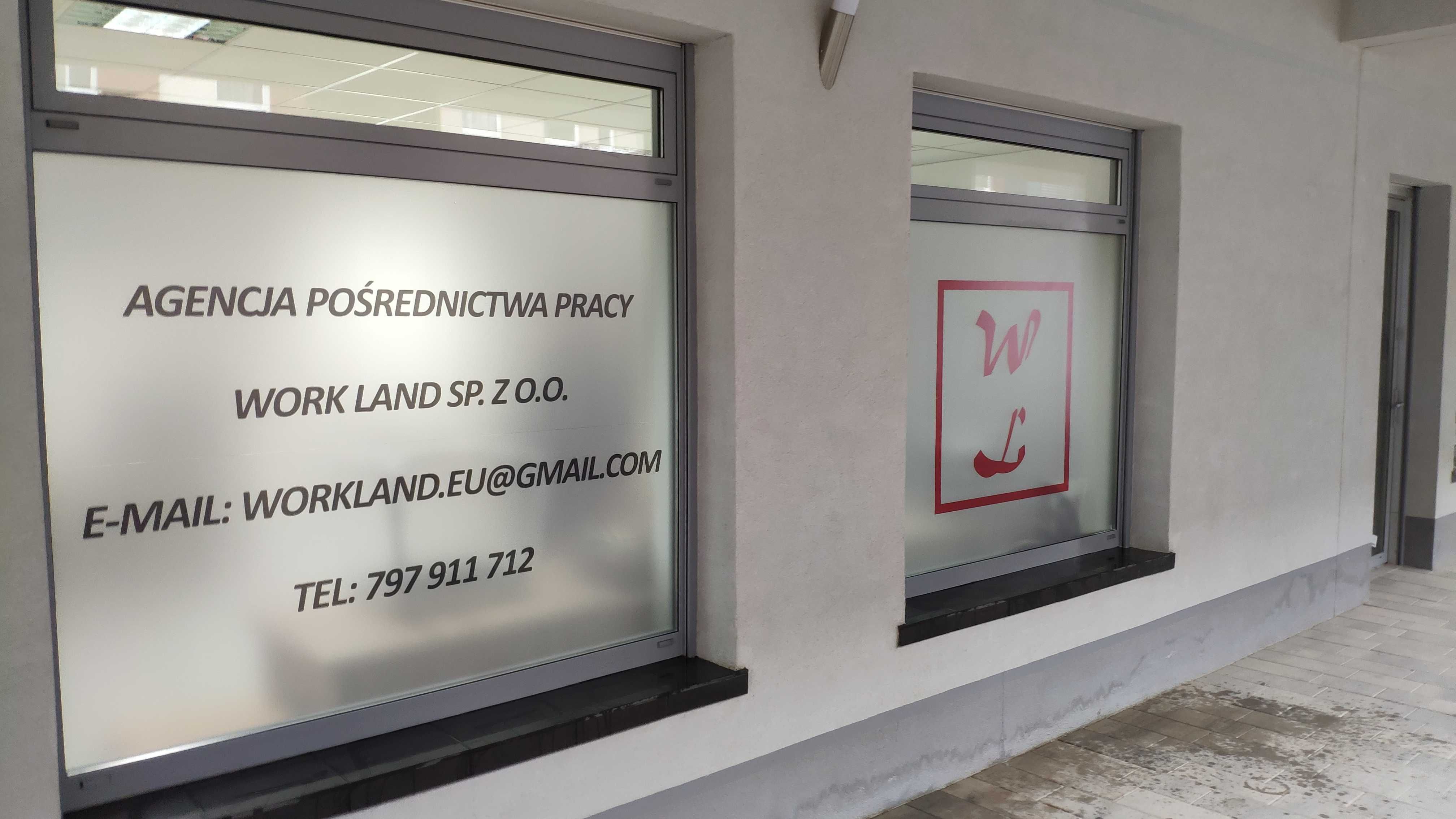 Folie mrożone mleczne na szyby okna wycine Montaż Wielkopolska