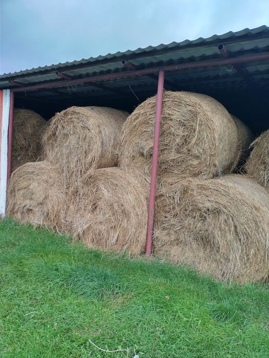 Sprzedam siano dla koni