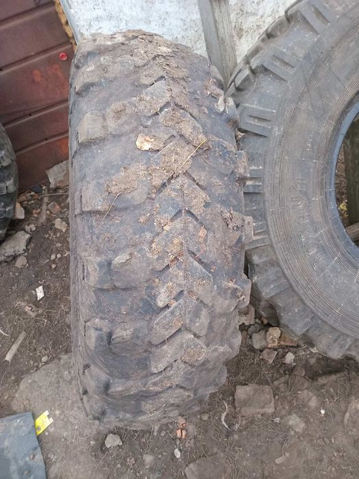 Продам Шини газ 66