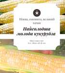 Найсолодша молода кукурудза є опт