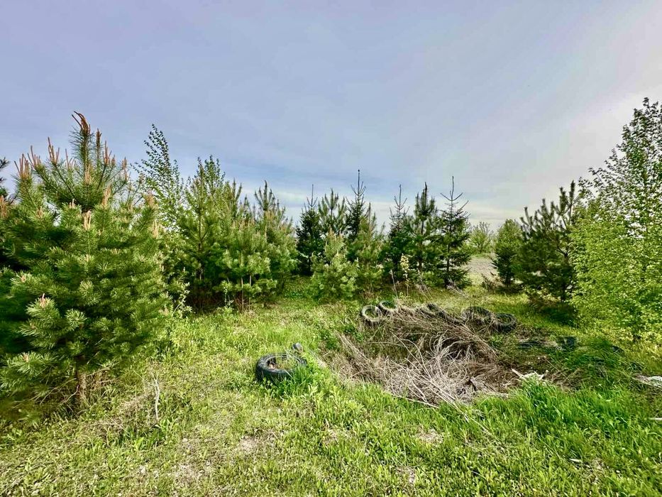 Будинок у Великій Омеляні