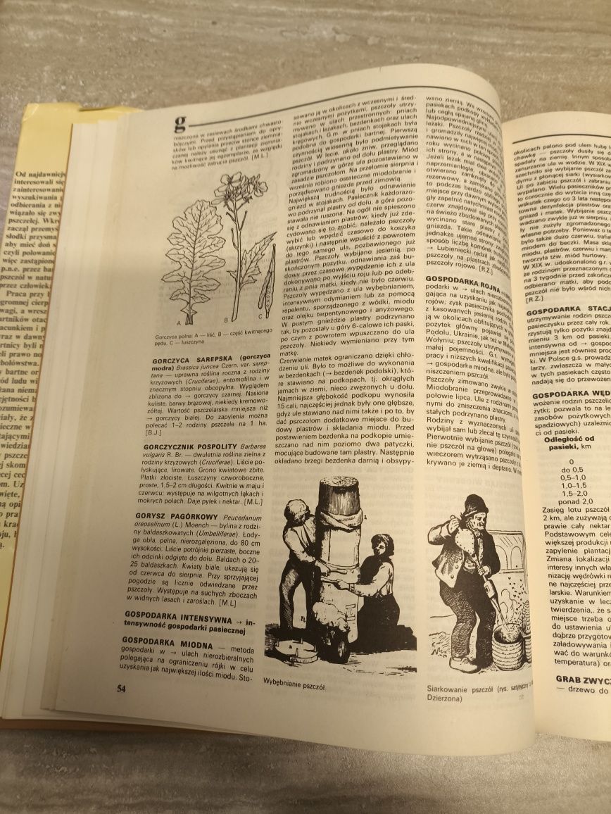 Encyklopedia pszczelarska , pszczoły