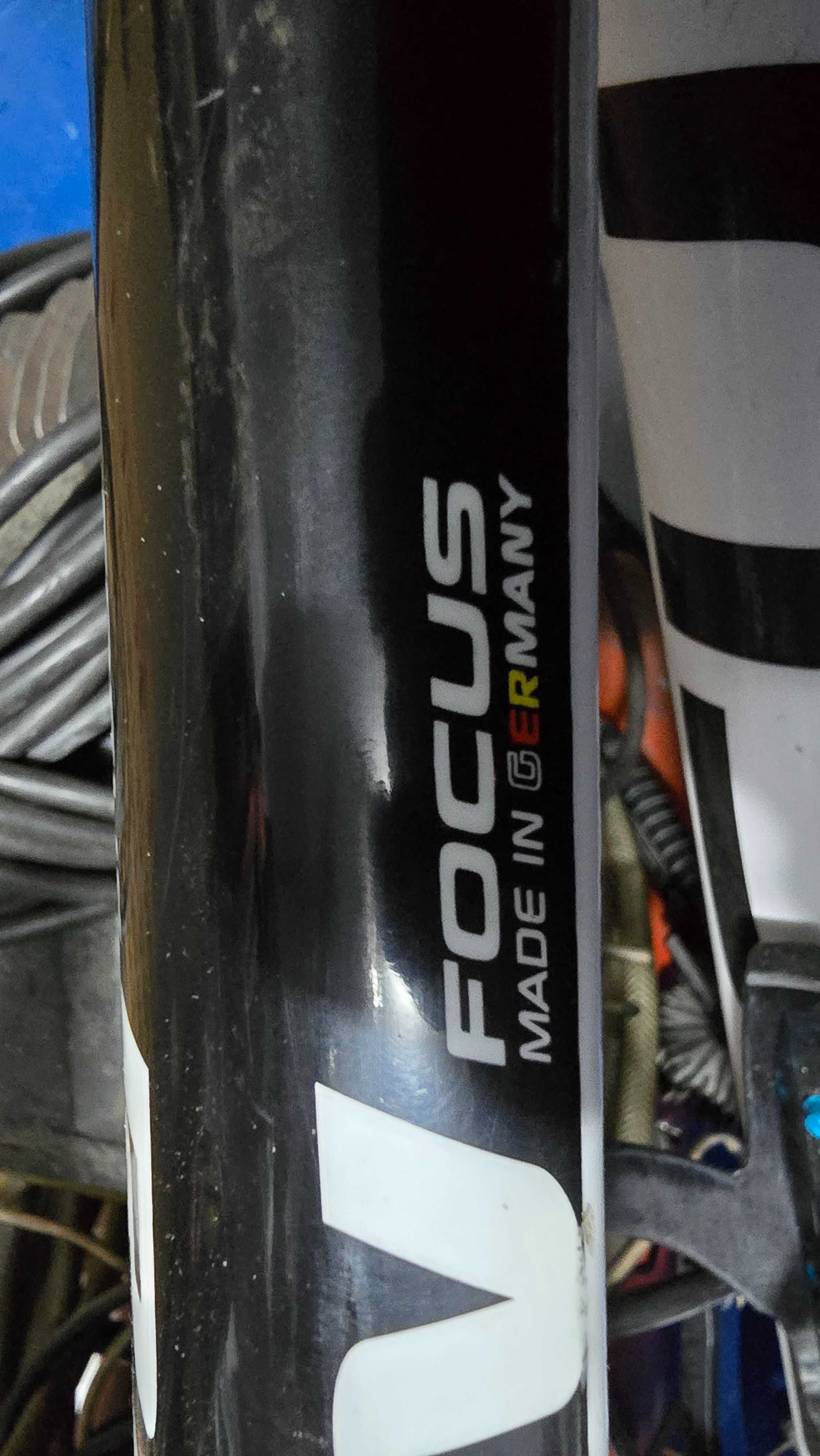 Focus raven 29R Carbono