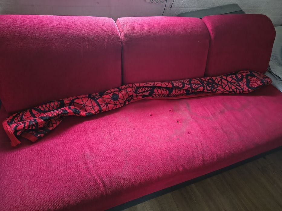 Pilnie Oddam kanapę