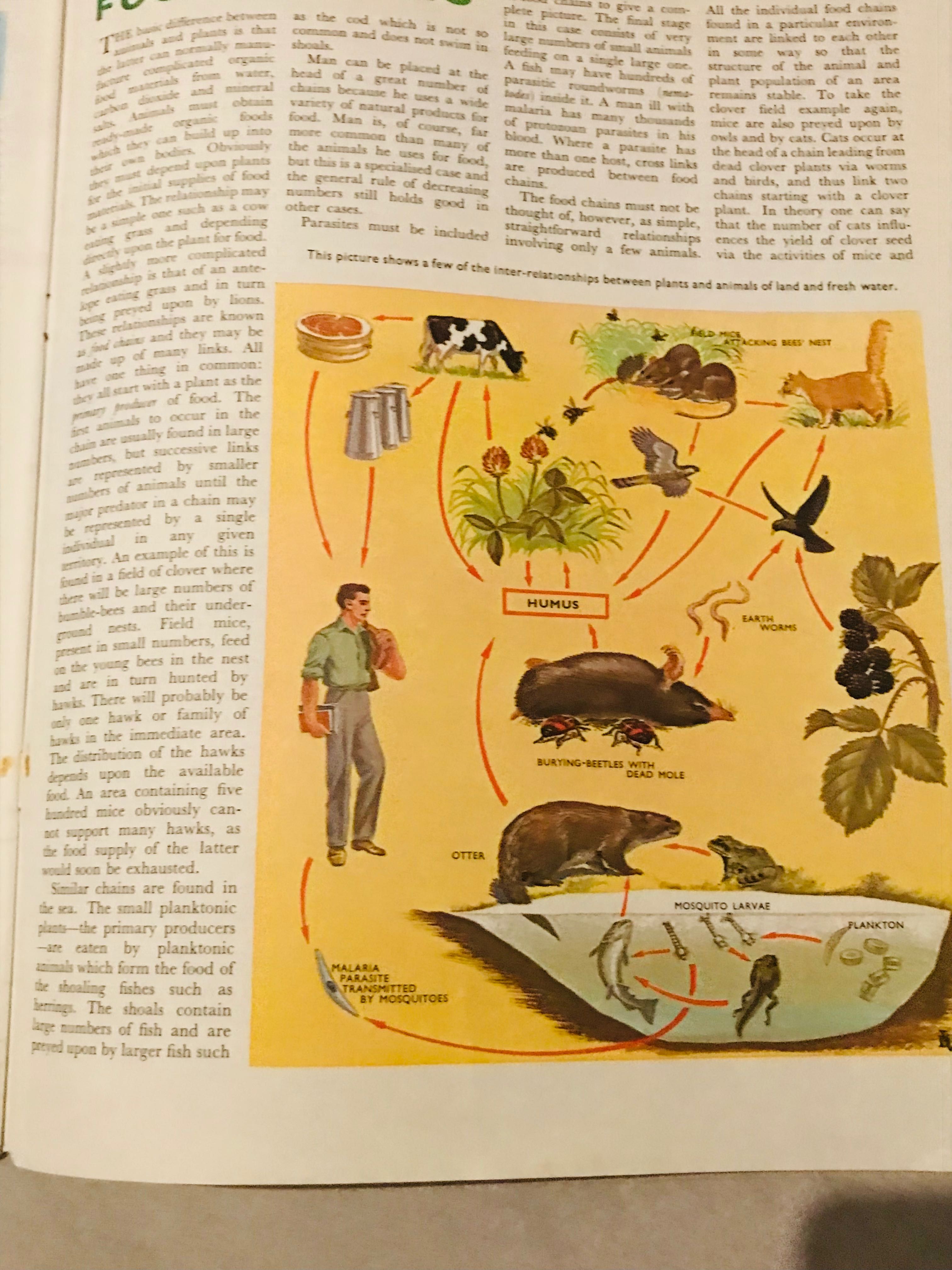 Lata 60 te Vintage angielski magazyn czasopismo naukowy ilustracje