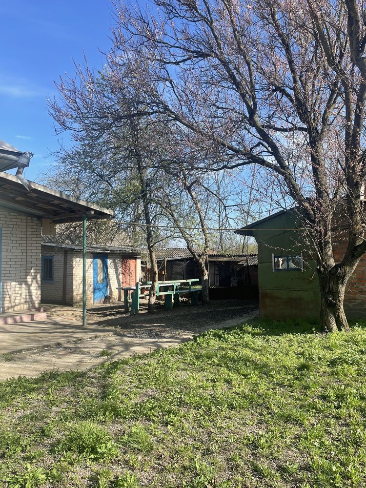 Продається хата з городом в с.Краснопілка