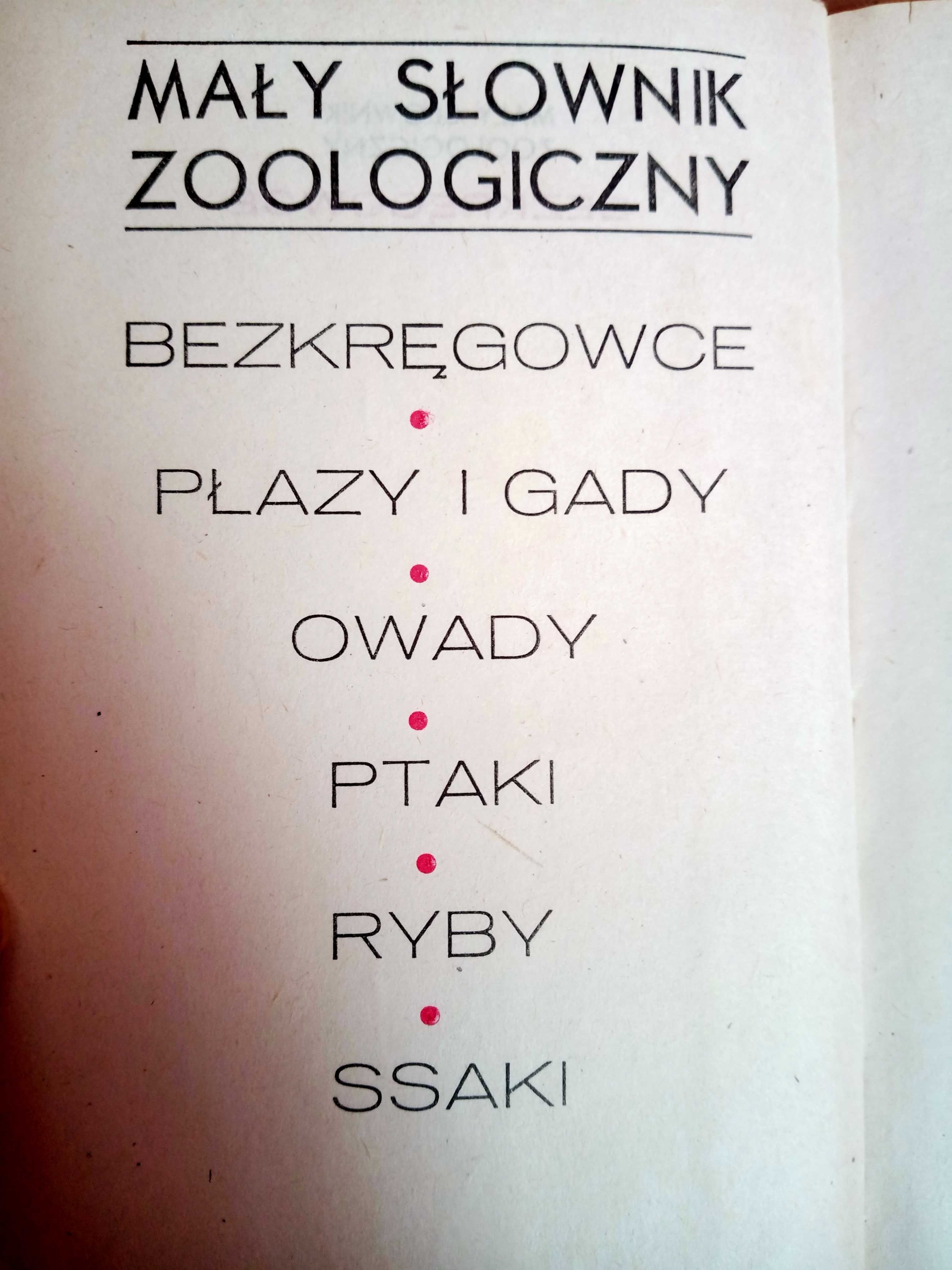 Mały słownik zoologiczny. Bezkręgowce