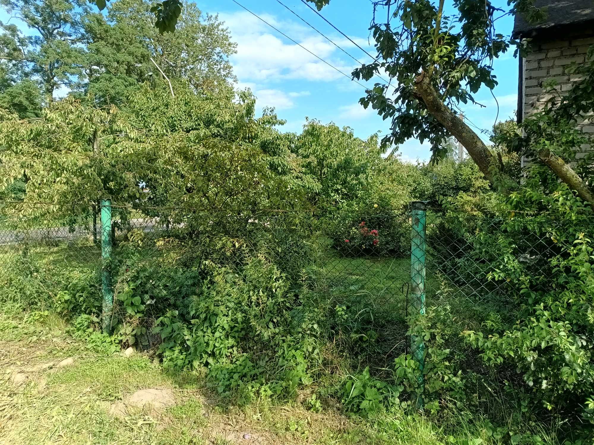 Dom z działką rolną 1ha ze stawem i drzewami owocowymi