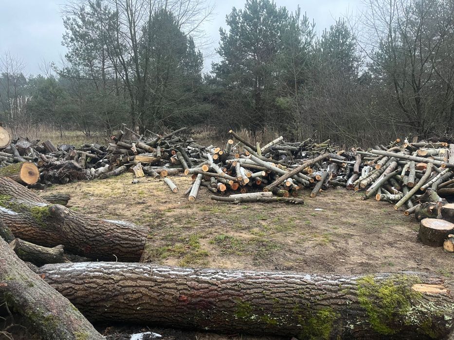 Drewno na opał obałki