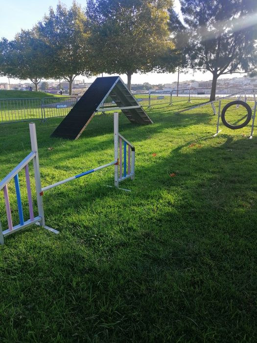 Pista completa de competição de agility