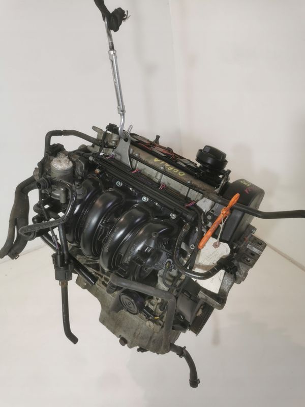 Silnik Kompletny Vw Seat Skoda 1.4/16v Bca