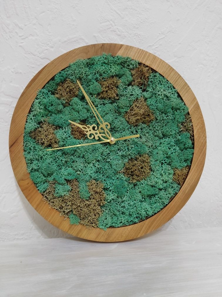 Годинник із стабілізованим мохом
