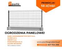 Ogrodzenie Panelowe 133 fi 4mm z podmurówką razem 158cm