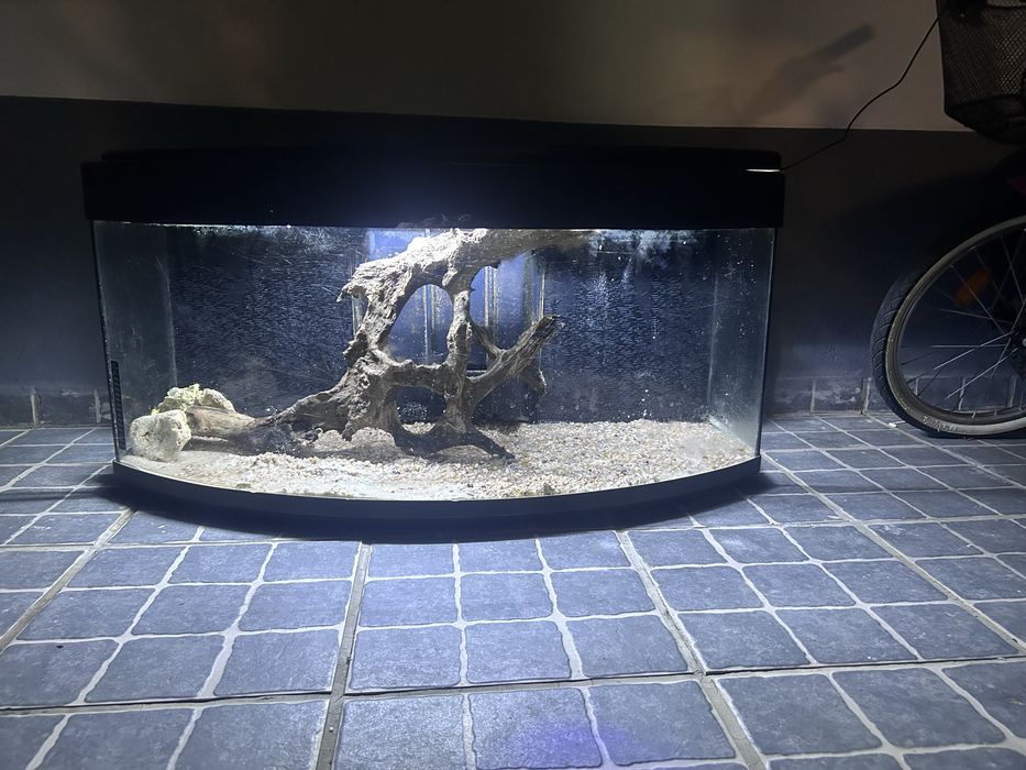 Aquario Panoramico 1 Metro