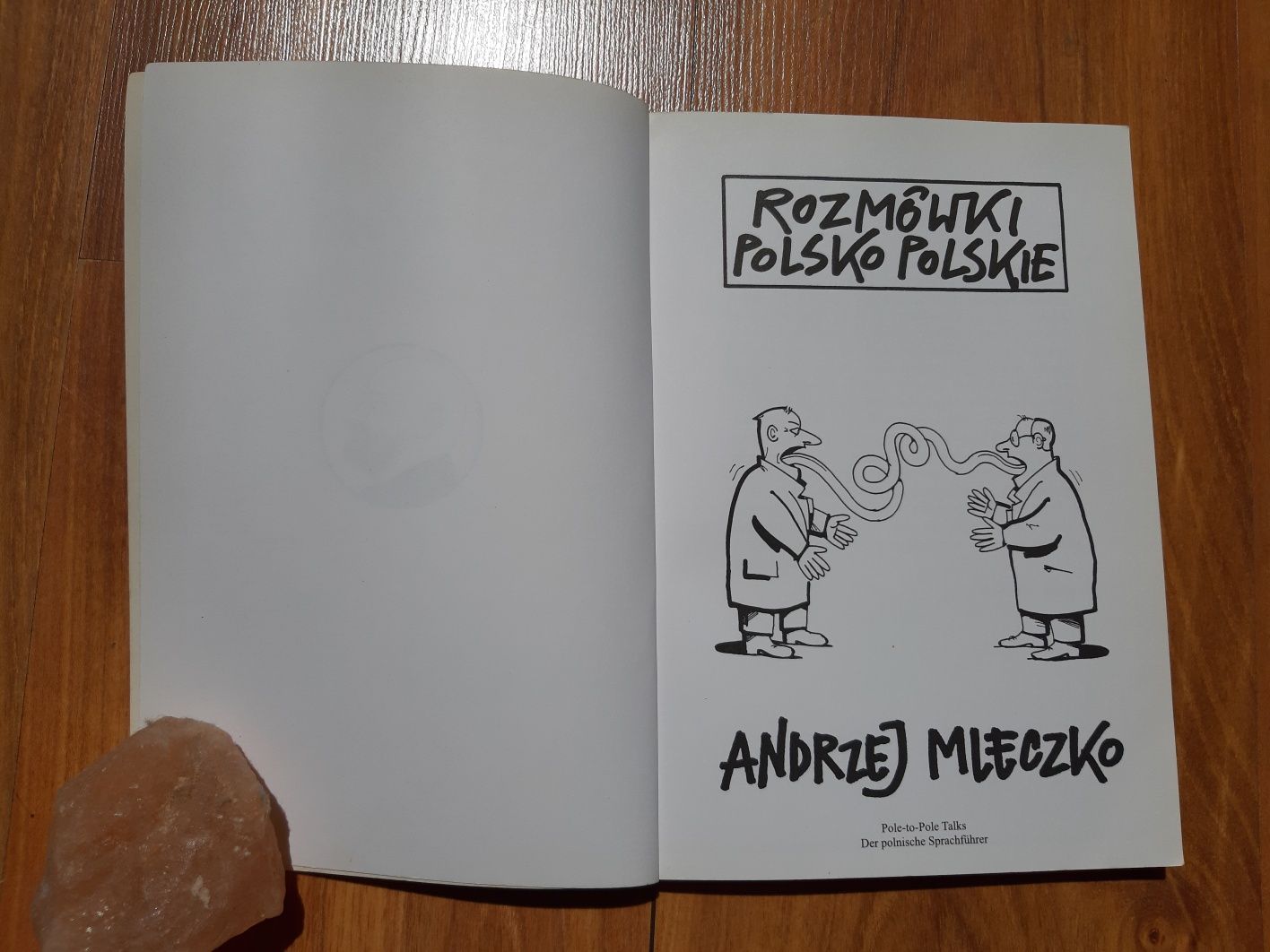 Andrzej Mleczko: Rozmówki polsko-polskie z tłumaczeniem ang. i niem.