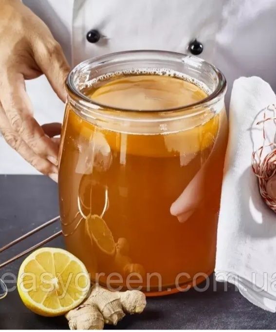 Продам Чайный гриб (комбучу)