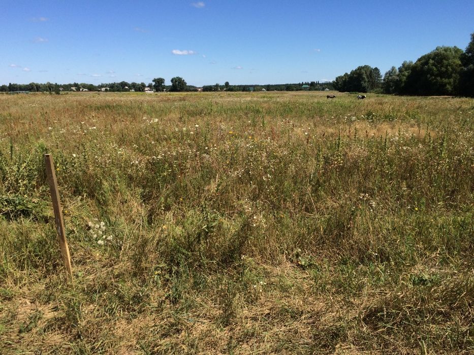 Земельна ділянка в с. Микуличі, Київська область