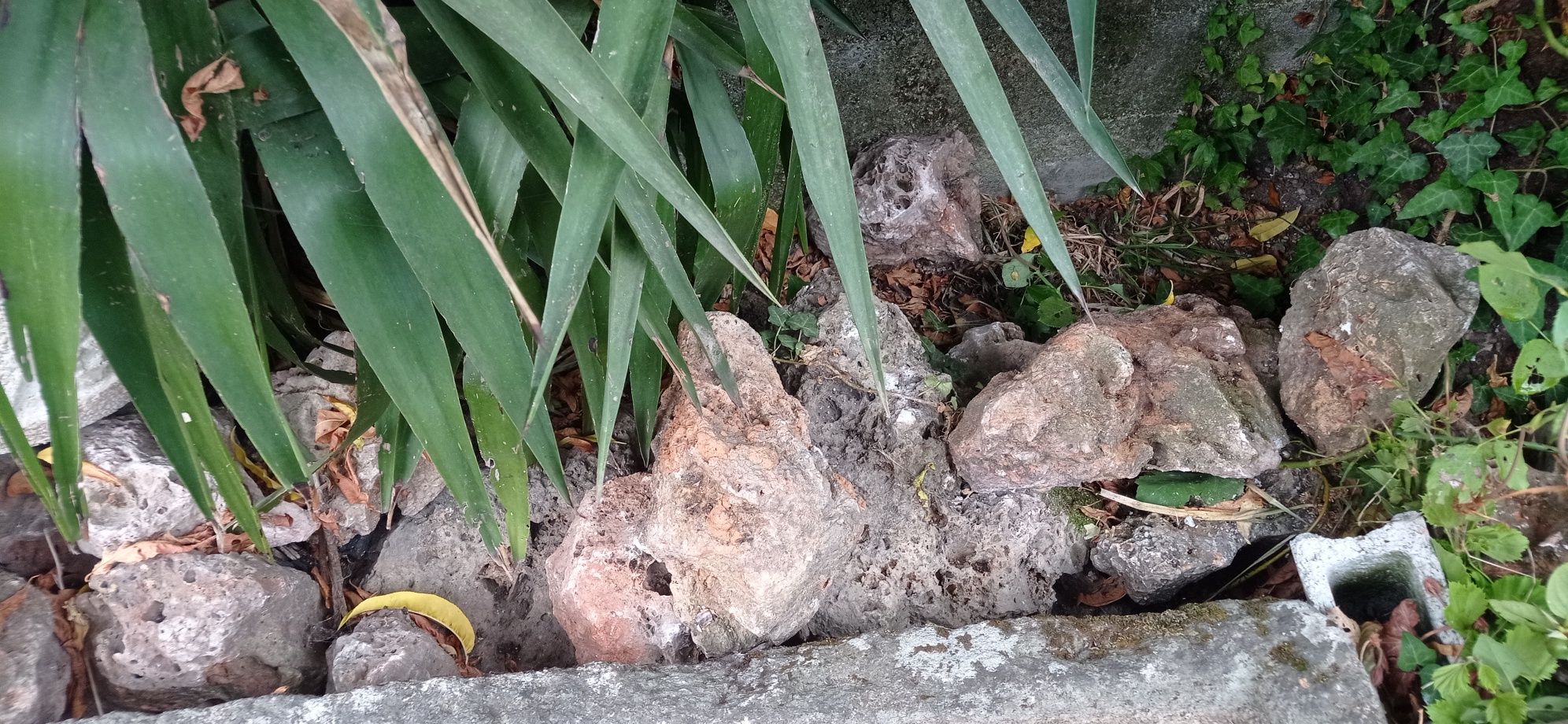 Pedras perfuradas para jardim