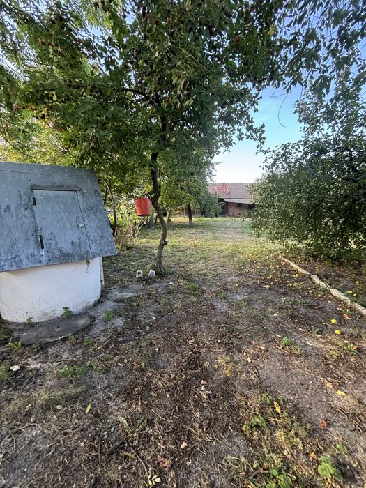 Продається будинок в с. Низи