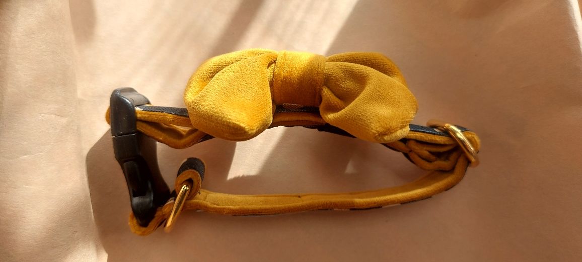 Nowa karmelowa  obroża w groszki  z kokardką DogoTyp  S 26-40 cm