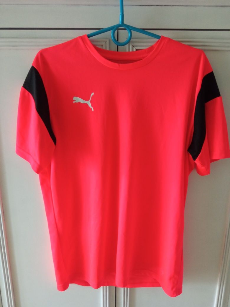 Koszulka puma drycell roz M
