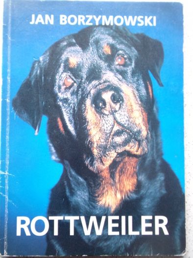 Rottweiler Jan Borzymowski