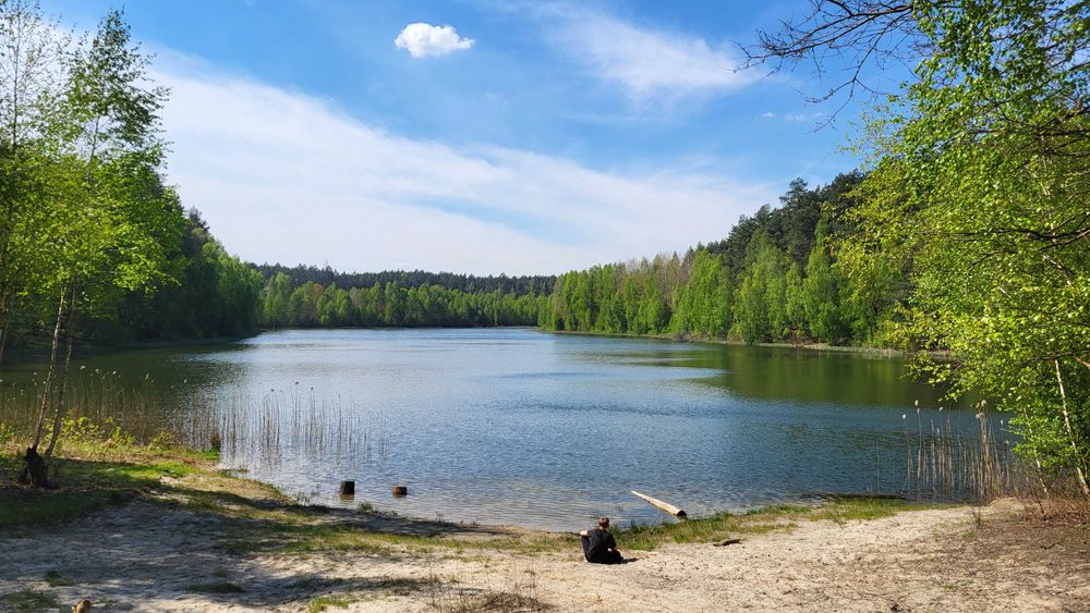 Dom w prywatnym lesie niedaleko jeziora warmińsko-mazurskie
