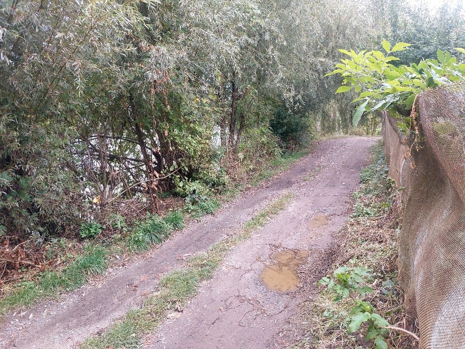 Продаж 8 с.під буд-во.Бл.Бучми.Забудована вулиця.Поряд світло.