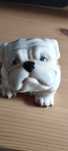 Buldogue em folha de tabaco