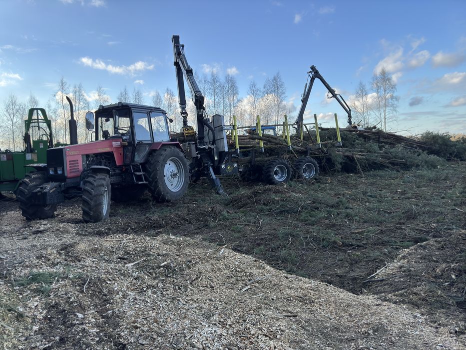 Wycinka drzew w zamian za material, czyszczenie dzialek