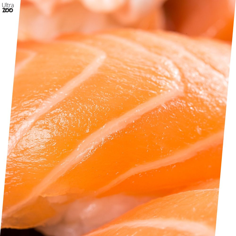 TROPIDOG Salmon 12kg z łososiem dla dużych i średnich ras bez kurczaka