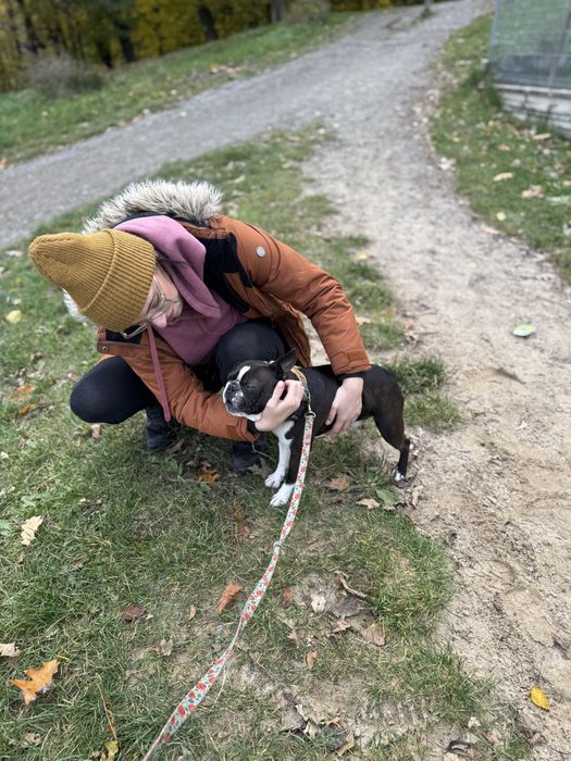 Domowa opieka nad Twoim psem, petsitter, behawiorysta