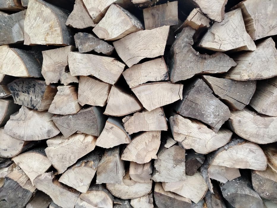 Drewno kominkowe/opałowe