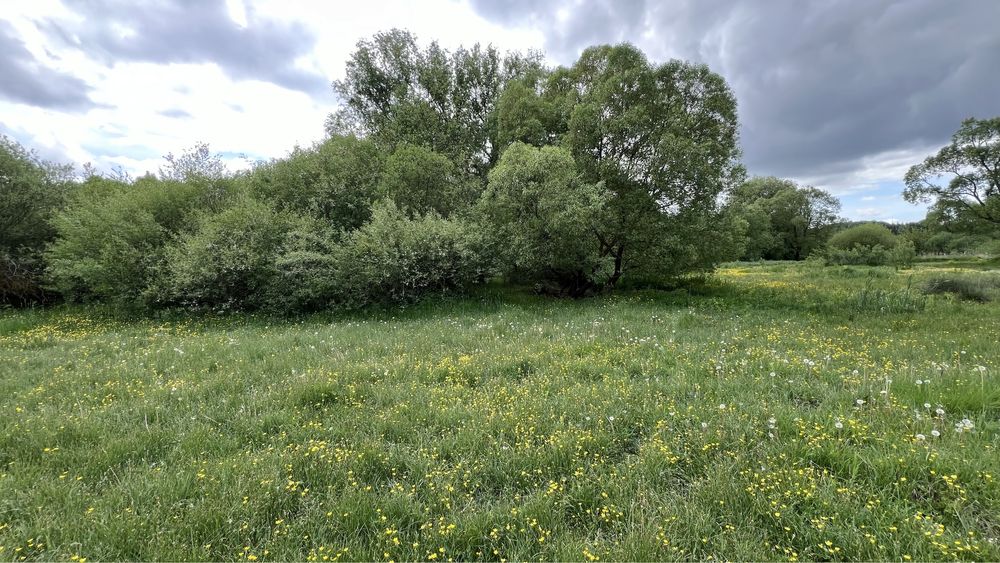 Продаж земельної ділянки Івачів