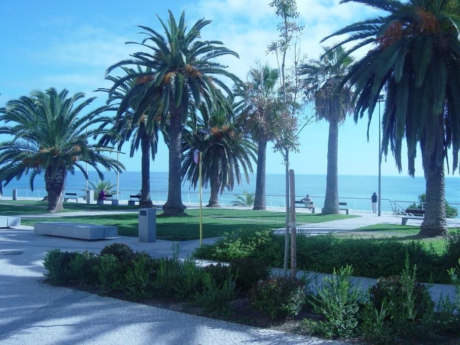 T1 Disfrute Outubro Avenida Praia Mar Férias Armação Pêra Algarve