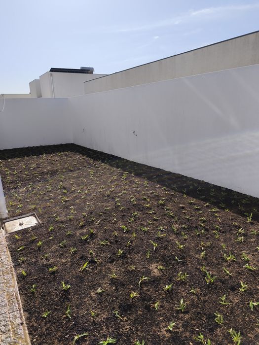 Serviços jardinagem